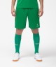 Шорты игровые JOGEL CAMP Classic Shorts, зеленый/белый (702558)