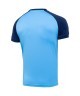 Футболка игровая JOGEL CAMP Reglan Jersey, синий/темно-синий (701790)
