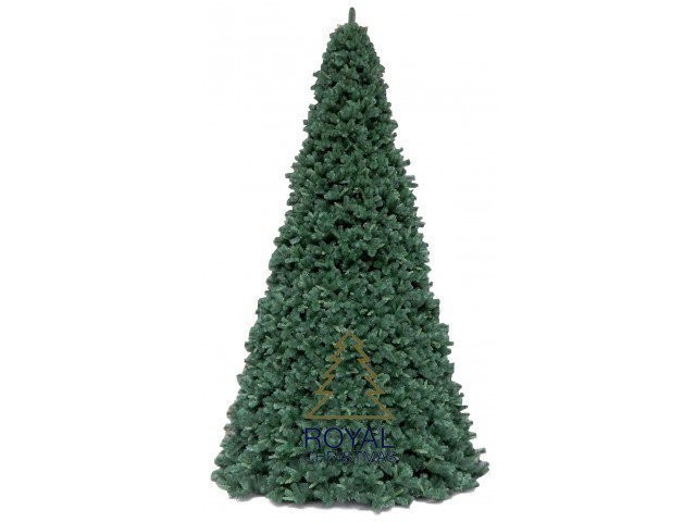Ель высотная Royal Christmas Giant Trees (510 см) (55089)