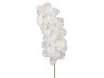 Искусственный цветок длина=100 см. (мал-16/кор=120шт.) Huajing Plastic (23-453)