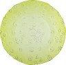 Тарелка "флора" диаметр=20 см.зеленая без упаковки SAN MIGUEL (600-629)