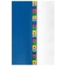 Разделитель пластиковый широкий Brauberg А4+ 31 лист цифровой 1-31 цветной 225624 (2) (89528)