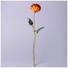 Цветок искусственный "ранункулюс" высота=50см. Lefard (287-542)