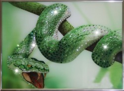 Зеленый Змей (1107)