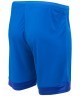 Шорты игровые DIVISION PerFormDRY Union Shorts, синий/темно-синий/белый (2101147)