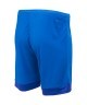 Шорты игровые JOGEL DIVISION PerFormDRY Union Shorts, синий/темно-синий/белый (2101147)