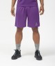 Шорты баскетбольные Camp Basic, фиолетовый (1619727)