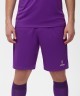 Шорты игровые JOGEL CAMP Classic Shorts, фиолетовый/белый (702614)