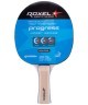 БЕЗ УПАКОВКИ Набор для настольного тенниса Roxel Hobby Progress, 2 ракетки, 3 мяча, сетка (2103042)