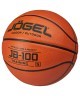 Мяч баскетбольный JÖGEL JB-100 №5 NEW (2108431)