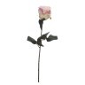 Роза нежно-розовая 48 см (36) - 00002430