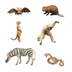 Набор фигурок животных серии "Мир диких животных": зебра, летучая мышь, змея, сурикат, бобер, обезьяна (набор из 6 фигурок) (MM211-216)