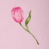 Комплект салфеток из 3 шт.40*40 см.вышивка "тюльпаны", 100% х/б, розовый SANTALINO (850-517-16)