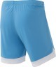 Шорты игровые DIVISION PerFormDRY Union Shorts, голубой/белый/белый (2101177)