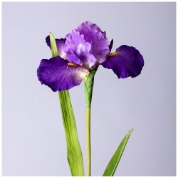 Цветок искусственный "ирис" высота=90см. Lefard (287-500)