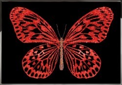 Красная бабочка (2375)