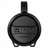 Колонка портативная DEFENDER G24 10 10 Вт Bluetooth FM-тюнер microSD чёрная 65124 513687 (1) (94408)