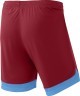 Шорты игровые JOGEL DIVISION PerFormDRY Union Shorts, гранатовый/голубой/белый (2101187)