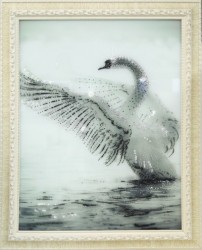 Белый лебедь (1702)