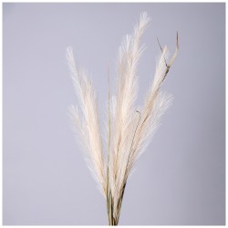 Цветок искусственный помпасная трава, цвет кремовый Lefard (535-358)